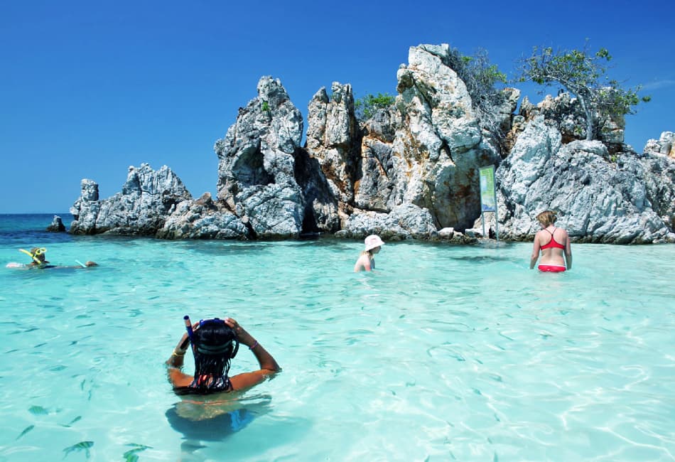Cham Island Speedboat Tour