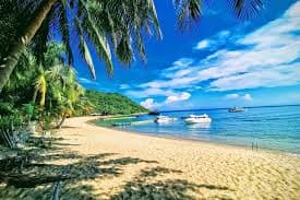 Cham Island Snorkeling